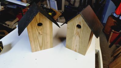 Birdhouses