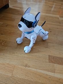 Ziggy the Robot Dog. Age 6+. ( No Remote Control)