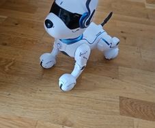 Ziggy the Robot Dog. Age 6+. ( No Remote Control)
