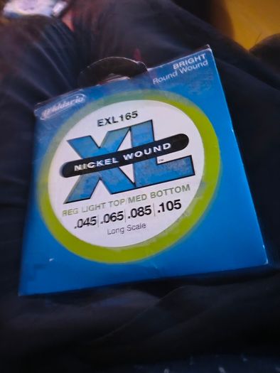 D addario exl 165( long scale)