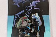 Teenage Mutant Ninja turtles sow wind reap storm
