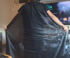 Halloween costume L