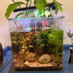 25l Aqua One tank
