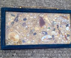 Antique framed sea shell collages