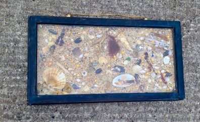Antique framed sea shell collages