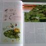 The Wildflowers of Offaly by John Feehan Ireland Irish Image 5