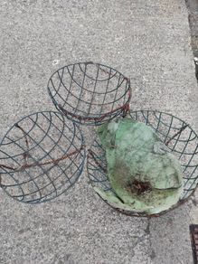 Hanging baskets