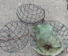 Hanging baskets