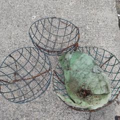 Hanging baskets