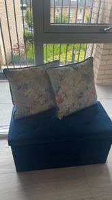 2 Velvet Cushions