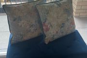 2 Velvet Cushions