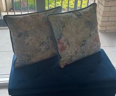 2 Velvet Cushions
