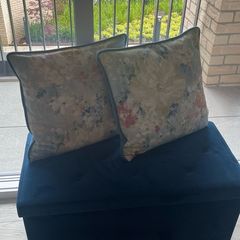 2 Velvet Cushions