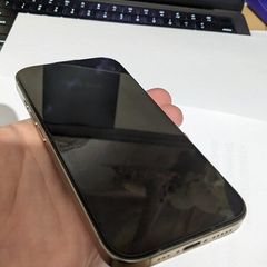 iPhone 16 Pro 256GB, Natural Titanium (Rare Color), Excellent Condition