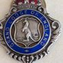 Silver and Enamel medal Image 2
