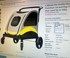 dog pet buggy