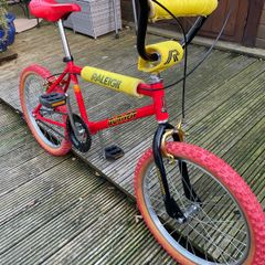 Raleigh Burner