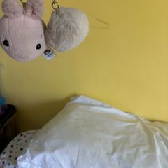 teddy