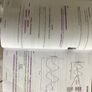 Grinds360 Books Leaving Certificate Image 6
