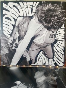 Mudhoney - Superfuzz Bigmuff