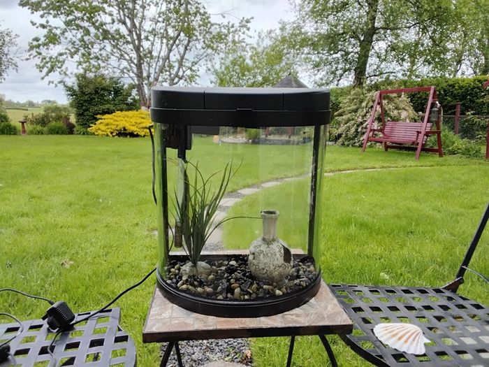 Fish Tank 19ltr