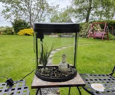 Fish Tank 19ltr