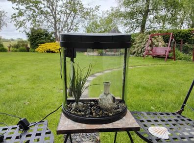 Fish Tank 19ltr