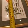 Framed poppy flowers pictuer water coloer signed J, kuhn artist June Kuhn Image 3