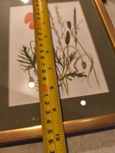 Framed poppy flowers pictuer water coloer signed J, kuhn artist June Kuhn
