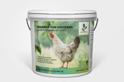 Seaweed for chickens