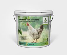 Seaweed for chickens