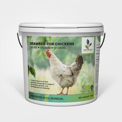 Seaweed for chickens