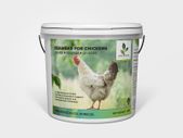 Seaweed for Chickens