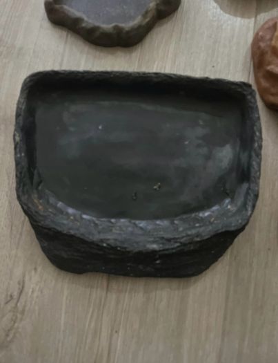 Bundle of Reptile Acessories Feeding Bowls