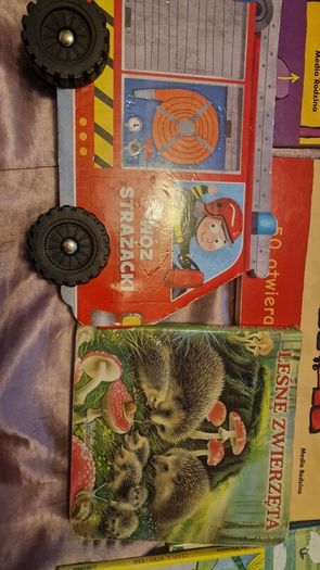 Polish books