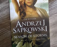 FINAL PRICE DROP Complete Witcher Series Novels