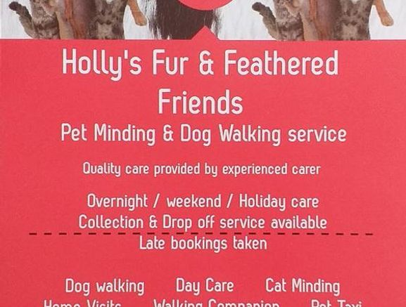 Home Boarding, Dog Walking & Cat Care Services