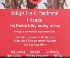 Home Boarding, Dog Walking & Cat Care Services