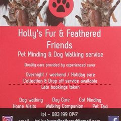 Home Boarding, Dog Walking & Cat Care Services