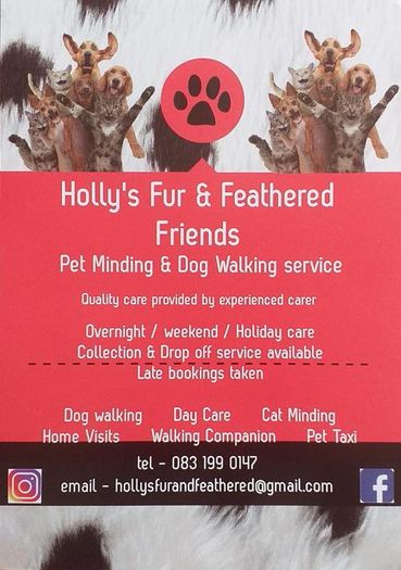 Home Boarding, Dog Walking & Cat Care Services