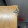 dining Table Image 10