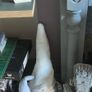knomes Image 2