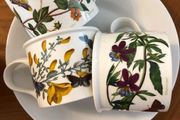 Portmeirion Botanic Garden Set of 3 Teacups - Drum Shape - Heartsease Pimpernel Broom