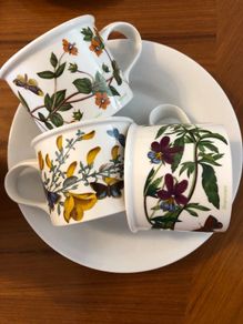 Portmeirion Botanic Garden Set of 3 Teacups - Drum Shape - Heartsease Pimpernel Broom