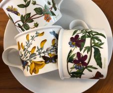 Portmeirion Botanic Garden Set of 3 Teacups - Drum Shape - Heartsease Pimpernel Broom