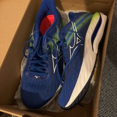 mizuno inspire 21 uk9.5