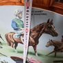 Lester Piggot jockey. Image 8