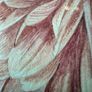 Original watercolour by Elizabeth A. McEwen RUA (1937- 2020), Belfast botanical artist. Image 10