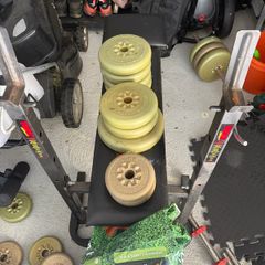 weights bench