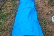 dog tunnel